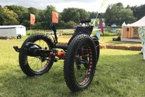 Ice full fat op het gras